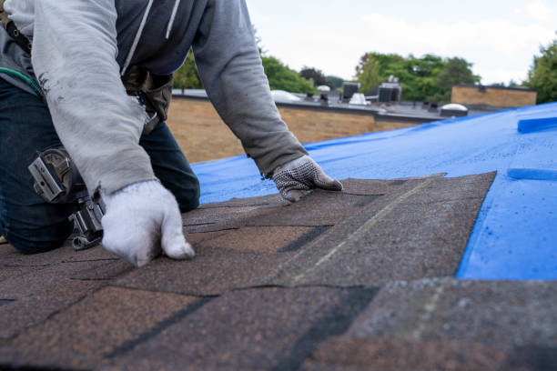 Best Tile Roofing Contractor  in Tupelo, MS